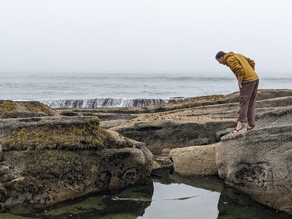 Exploring the West Coast Trail