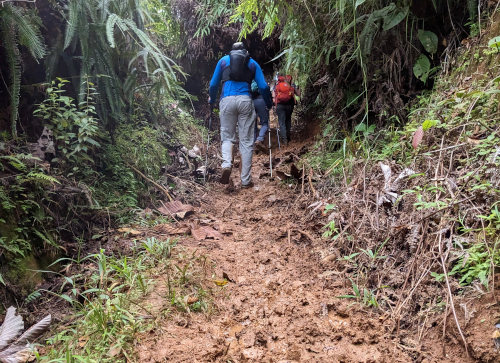 Muddy Trails in Costa Rica