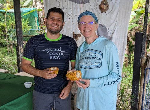 Cacao Fruit