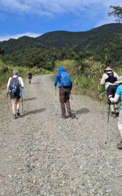 Camino Hiking Trail