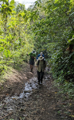 Hiking through Jungle