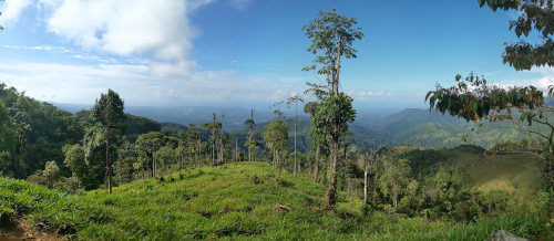 Humid Hiking on Camino