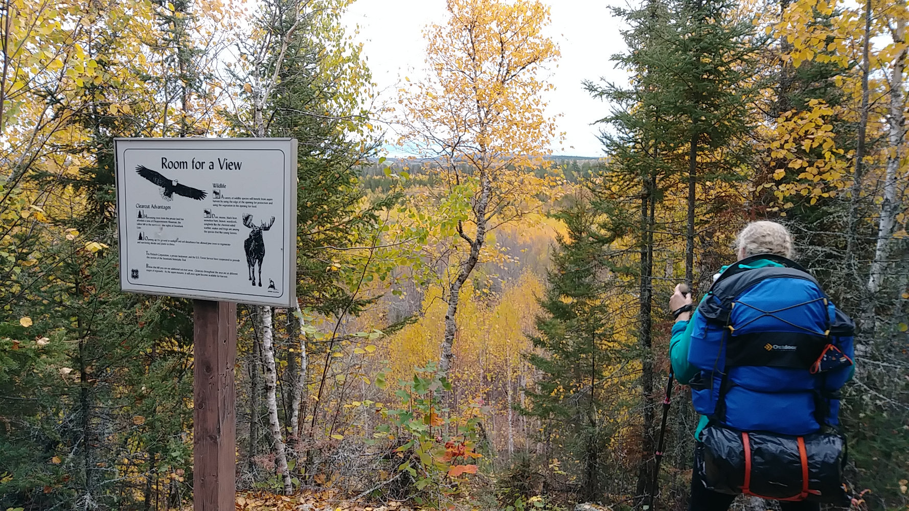 Kekekabic Trail Clearcut Overlook