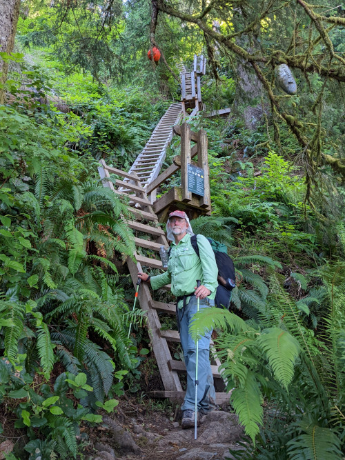 Thrasher Campsite Ladders