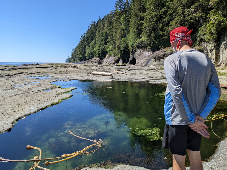 West Coast Camper bay tidepools