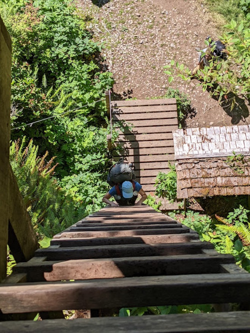 West Coast Trail First Ladder