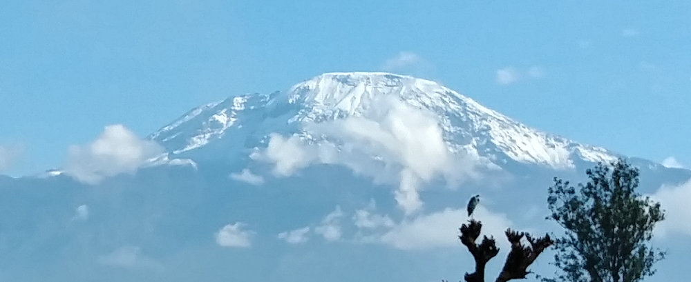 Kilimanjaro Snow