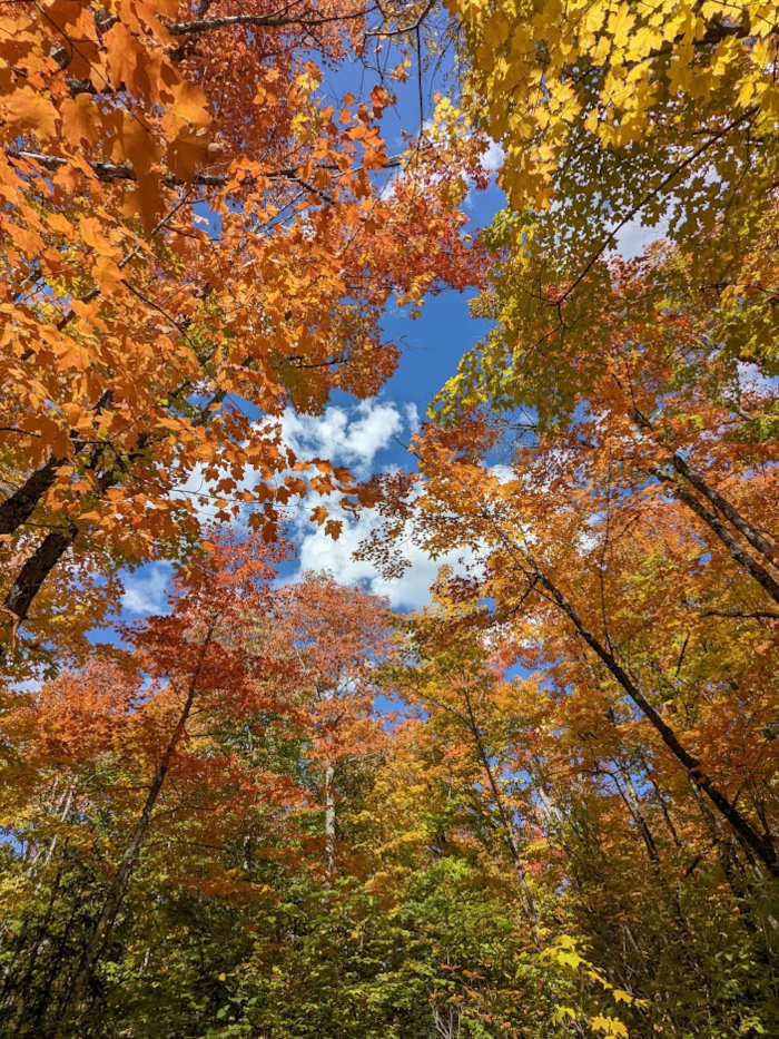 Lake Agnes Fall Colors