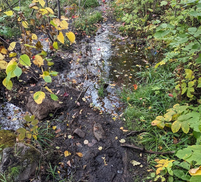 Border Route Trail Mud