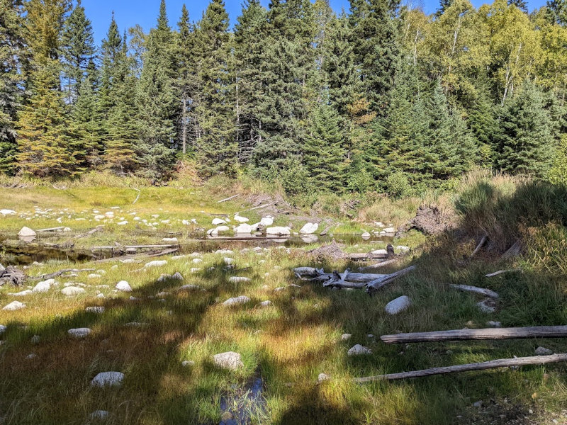 Carlson Pond campsite on SHT drained beaver dam