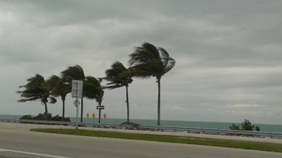 Windy Keys Weather