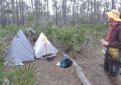 Big Cypress Swamp