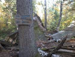 SHT old trappers cabin art griffin