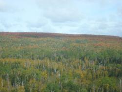 Moose Mountain view